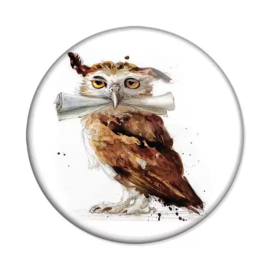 ������ Harry Potter Owl