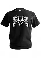 �������� ����� � �����������