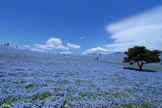 ����� ���� ����� �� �����