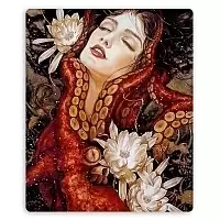 ������ ��� ����� Castlevania 317722