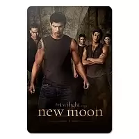 ������ ��������� ������������� Twilight 351889