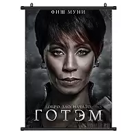 ������� �������� Gotham Fish Mooney