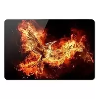 ������ ��������� ������������� The Hunger Games 351914