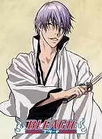 ������ �������� ���� - ��� �������