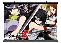������� �������� Akame ga KIll! 317415