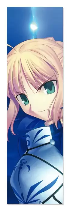 �������� ��� ���� Fate Stay Night - ������