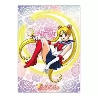   "Sailor Moon" Sailor Moon