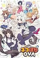    / Nekopara OVA [DVD]