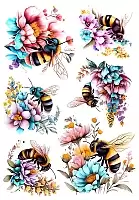 �������� ����� �� ������ / ��������