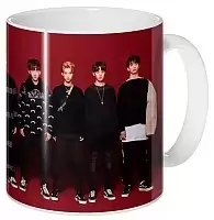 ������ ���-���� Stray Kids