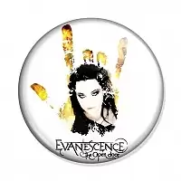 ������ Evanescence The open door