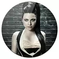 ������ ��������� ������� Evanescence / ������������ ��� ��