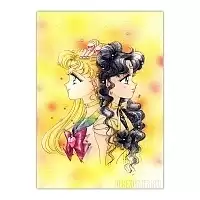   Bishoujo Senshi Sailor Moon S - Luna  Sailor Moon