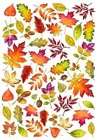 �������� ������� ������