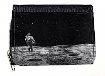 ������� ��������� Planetes 69751