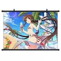������� �������� Senran Kagura - Ryoubi
