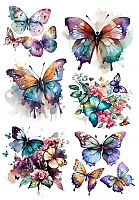 ������� ������� �� ������ / ��������