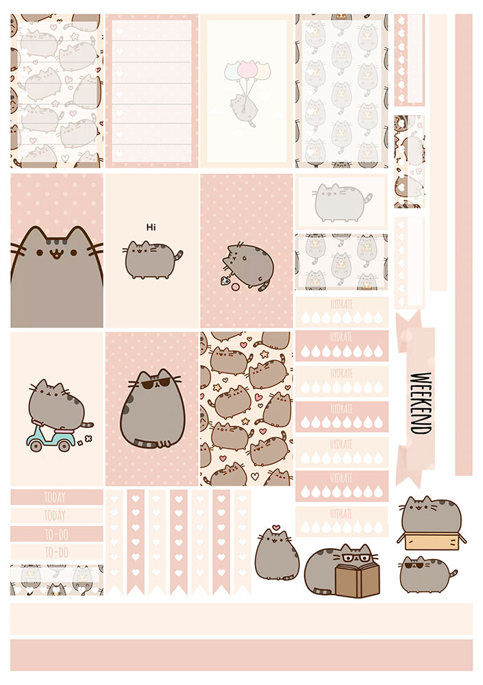 ������� ��� �������� ����������� No.11 ������ �����