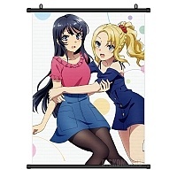   Seishun Buta Yarou Mai Sakurajima  Nodoka Toyohama