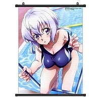 ������� �������� Senhime Zesshou Symphogear Chris Yukine