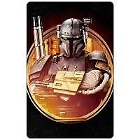   The Mandalorian - Pose