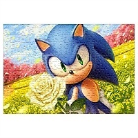  Sonic ( A3, 252 ) 68214