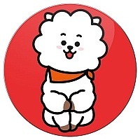 ������ ��������� ������� BT21 - RJ