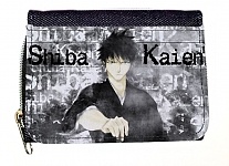 ������� ��������� ���� No.11