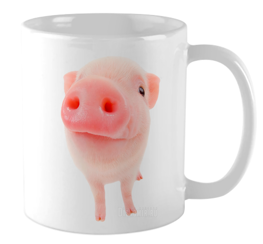 ���������� ������� ������������ ������ �� ����� �������� / ������ / ������