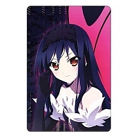 ������ ��������� ������������� Accel World 310409