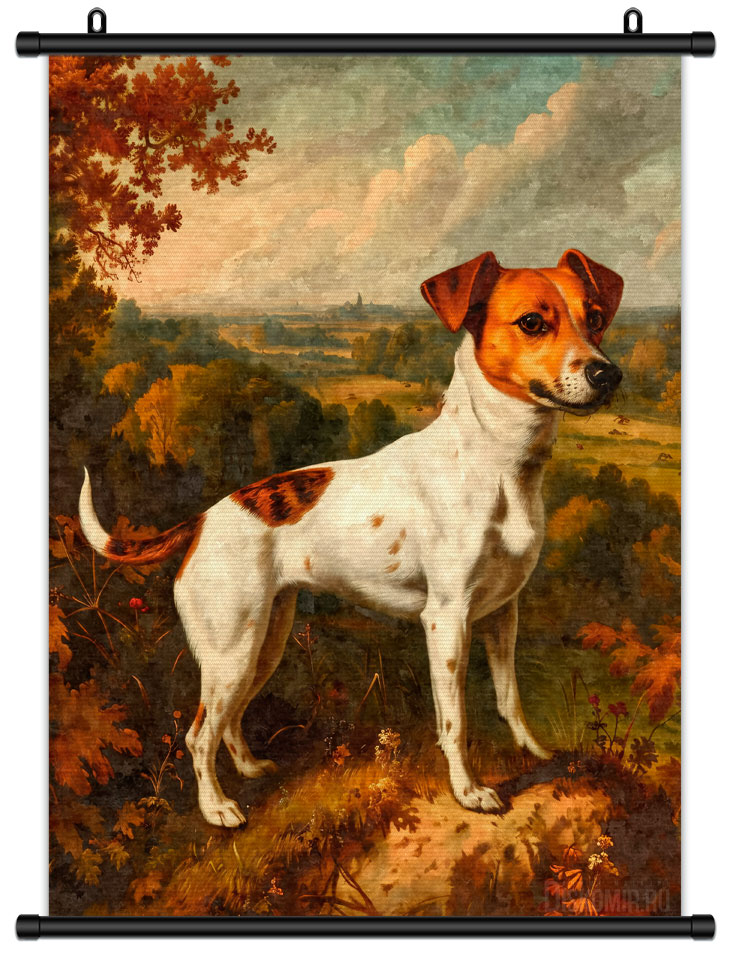 ������� �������� ����-������-������ / ������