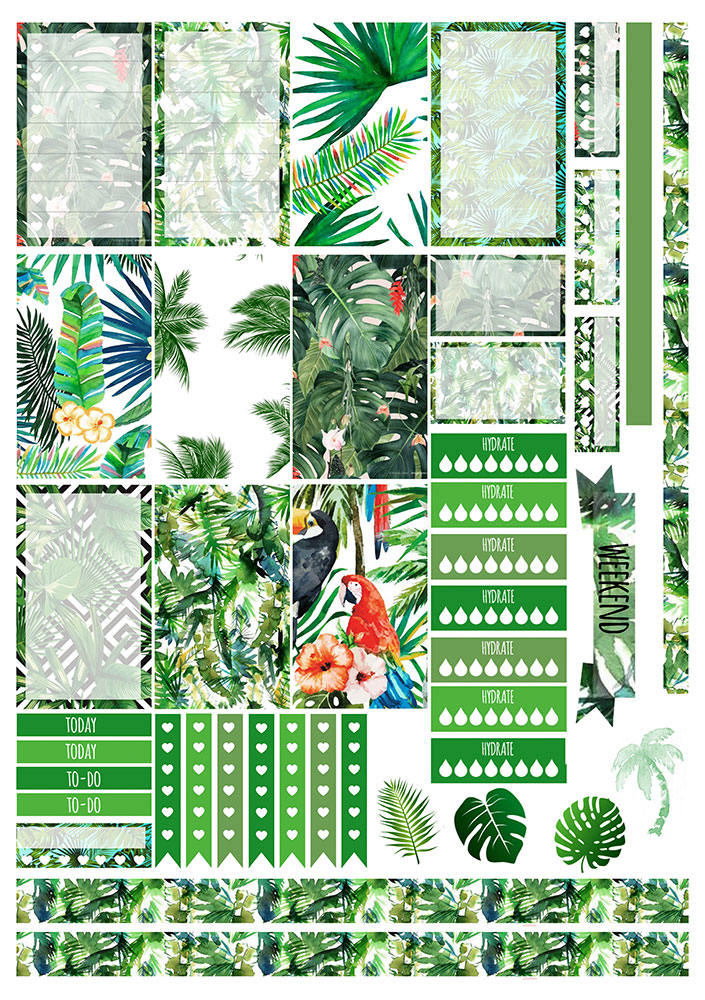 ������� ��� �������� ����������� No.15 �������