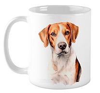 ������ ������������ ��������� / ��������