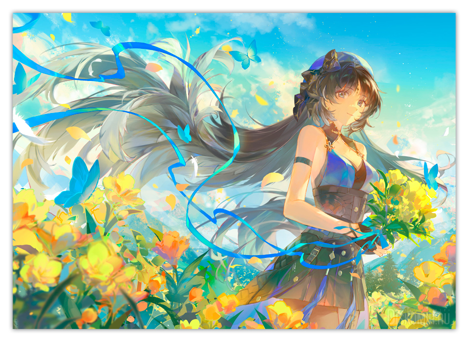 ������ �������� Yangyang / �������� ����� ��������������