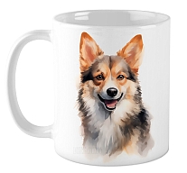 ������ �������� �������� / ��������