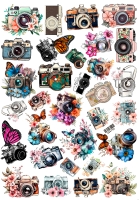 ������� ��������� ������������ � �������