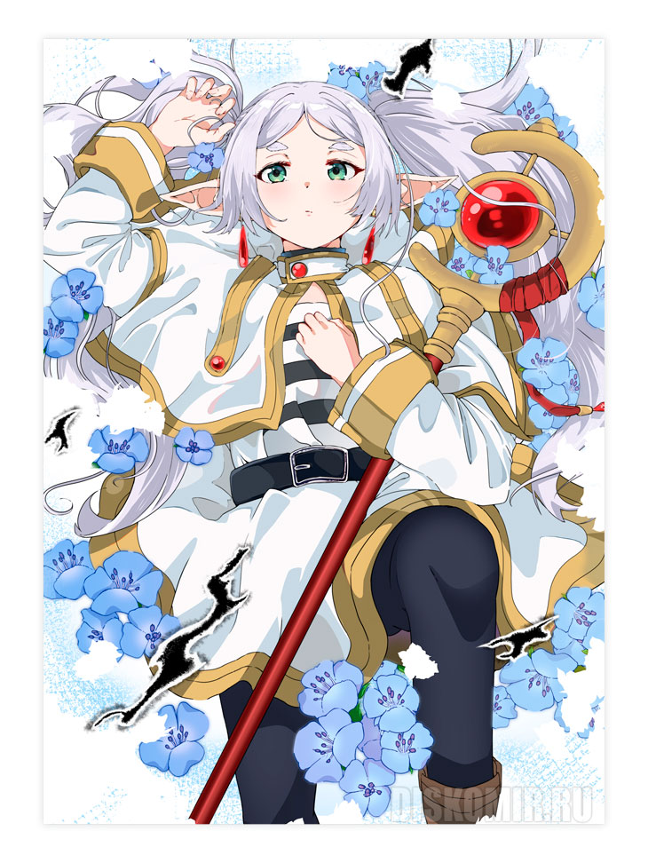 ������ �������� ������ / ������, ����������� � ��������� ����