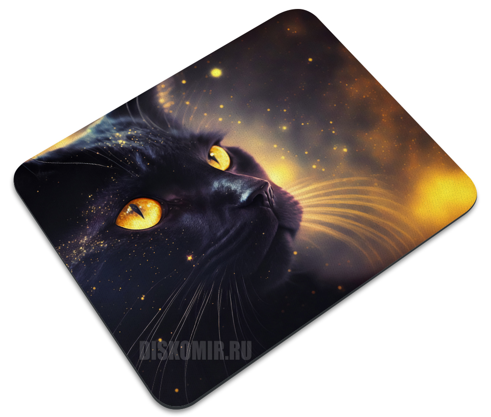 ������� ������ ��� ���� ������ ���