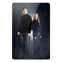    The X-Files 351965