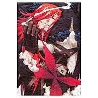 ���� D.Gray-man (������ A3, 252 ������) 66998