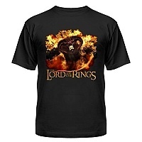   The Lord of the Rings 309979