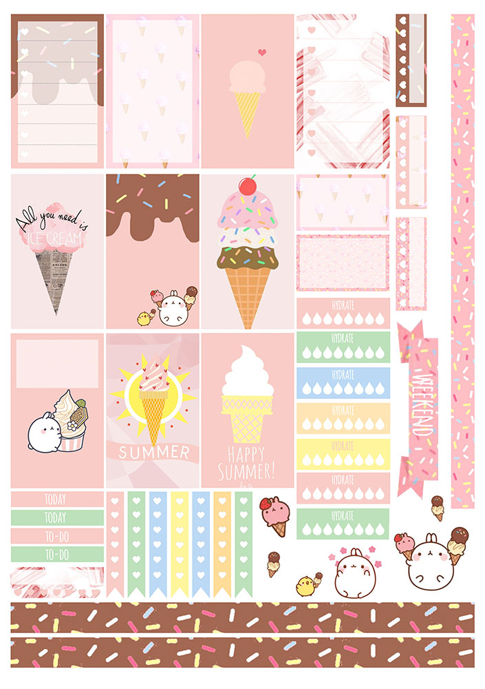 ������� ��� �������� ����������� No.13 ���������