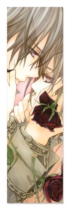 ���������� ������� �������� Vampire Knight 349872 �� ����� � ����� ������-������ / Vampire Knight