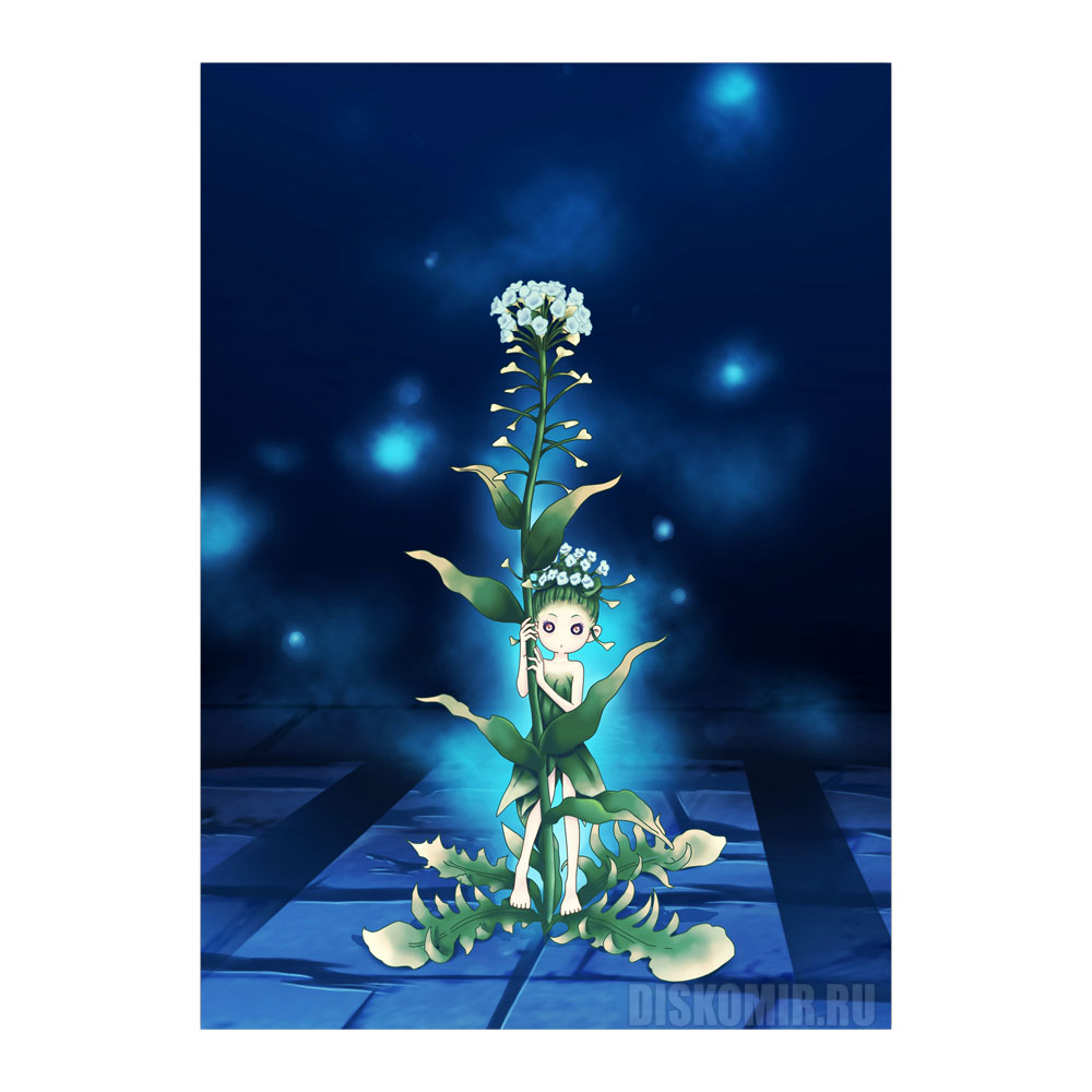 ������ �������� "�������" Chitch