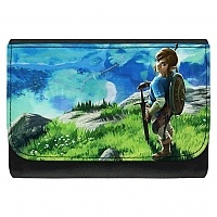   The Legend of Zelda: Breath of the Wild - Link