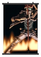 ������� �������� D.Gray-man 310533