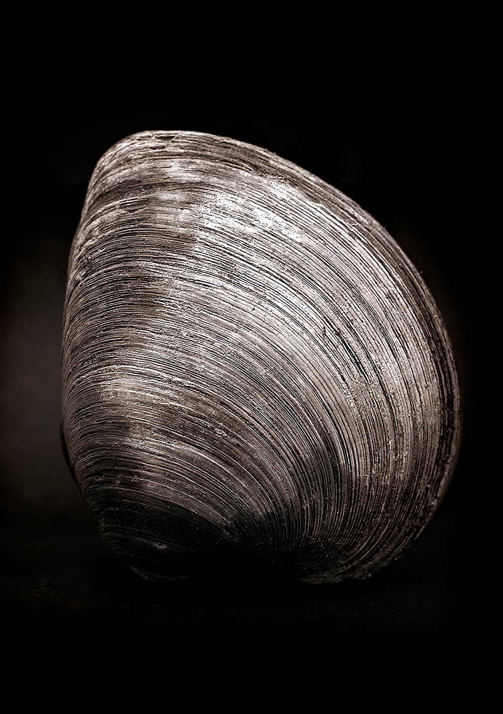 ������ ��� ��������� Black & White - ������� / ������ �� �����