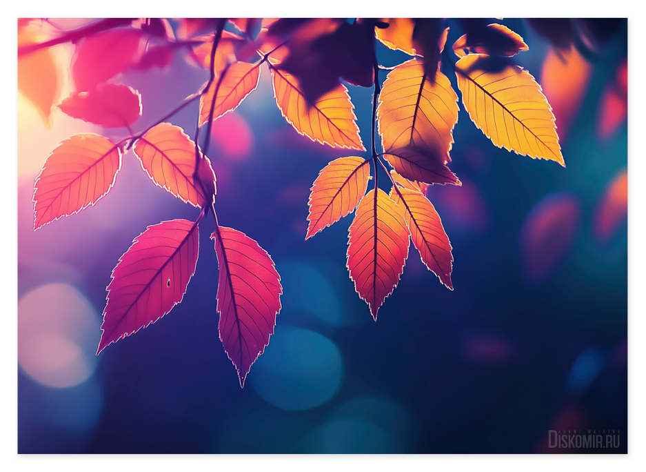 ������ �������� ������� ������