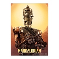 ������ �������� "����������" ����� IG-11