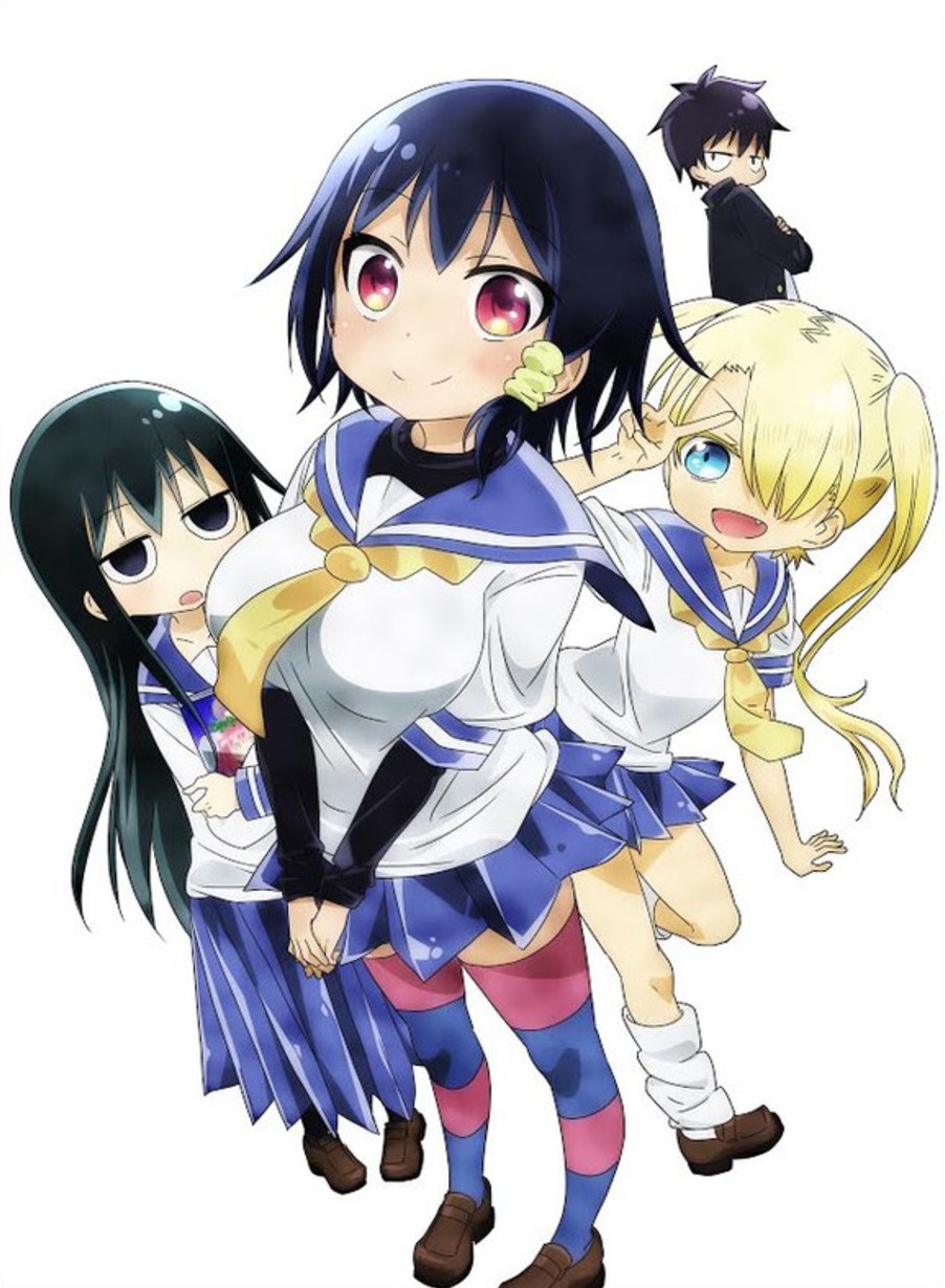 ���������� ������� ����������� ������ / Komori-san wa Kotowarenai! [12 �� 12] TV (720p) �� ����� � ����� 